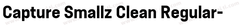Capture Smallz Clean Regular字体转换
